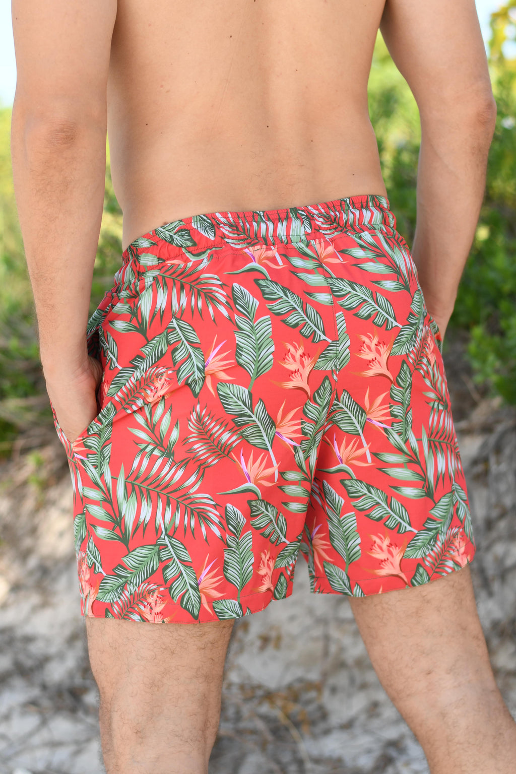 Basement Shorts
